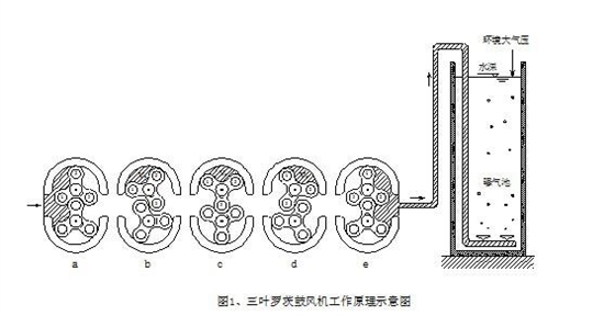 污水曝氣羅茨風(fēng)機(jī)工作原理