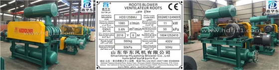 密集羅茨風(fēng)機(jī)