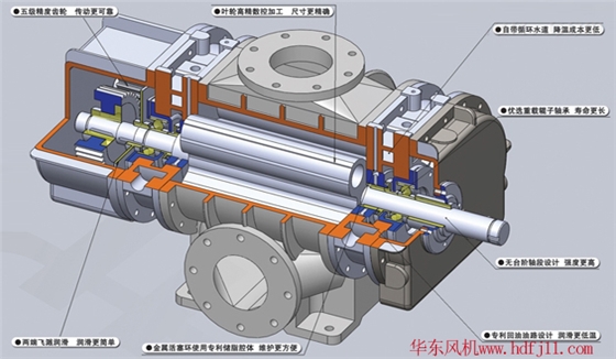 三葉羅茨風機內(nèi)部結(jié)構(gòu)圖14解剖圖.jpg