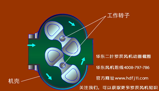 羅茨風(fēng)機(jī)的動(dòng)畫(huà)截圖.jpg